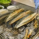 한강민물 이미지