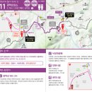 [Seoul Trail Course 11] 서울 둘레길 11코스 (관악산 코스) / 26.05.10.