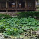 연당1로 이미지