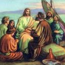 생명의 기쁨 이미지