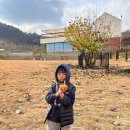 예산장갑 | 예산 아이와 카페 추천 아그리르 토끼 먹이주기 체험