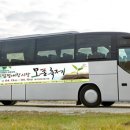 엄정내창시장 이미지