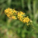 미골농장 이미지