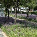 상록공원 게이트볼장 이미지