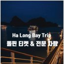 하롱 - 군산시 부원로 26 | 하롱