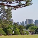 FRONT YARD(앞마당) 이미지