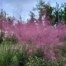 상서재1로 이미지