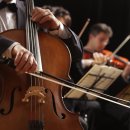 첼로(성인반) 이미지