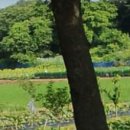 8949부동산공인중개사사무소 이미지