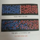 책 「클라우디우스가 들려주는 엔트로피 이야기」