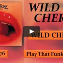 Play That Funky Music(Wild Cherry) 이미지