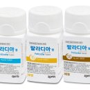 (주)코리아메디칼디바이스 데일리벳