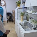 프레쉬맨 | 교회에서 지네가 나왔습니다…실제 방제 후기와 예방 꿀팁
