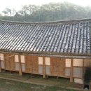 강진8호 이미지