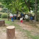 노틀담유치원 이미지