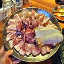 타이어테크 제주점 | [제주맛집] 제주시고기집 도남돼지 / 제주흑돼지 도민맛집 완전 추천