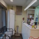 개포동물병원 | 강남동물병원 개포 한동물병원 진료 항목 확인 필수