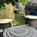 하루세차 이미지