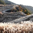 화왕산온천관광