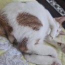 문덕동물병원 이미지