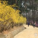 정릉9 이미지
