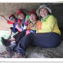 감자바위 이미지