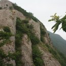 신라연가 이미지