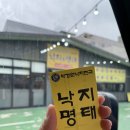 박경원낙지천국