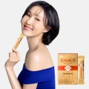대안주유소 | 대전사랑카드 7월 캐시백 중단, 인근 지역화폐(세종·청주) 및 온누리상품권 대안 총정리