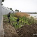 "아프간 난민 못 받는다"..그리스, 터키 국경에 40km 장벽 이미지