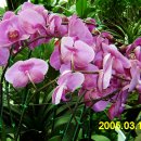 강림면343 이미지