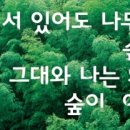 여일 서울신문