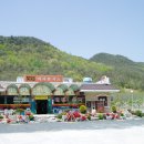 대사로(길안면) 이미지