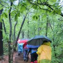 05/07(화)황금산~코끼리바위 & 서해랑길 79코스 A조＜3.15km + 12.1km＞ 이미지