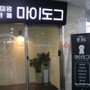 대구 애견카페 디어마이도그 방문. 난 별로