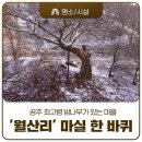 월산1리마을회관 | 2025 밤산업 박람회 개최 기념! 공주 최고령 밤나무가 있는 마을, &#39;월산리&#39; 마실 한 바퀴