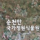 모이 - 용산구 | 모이