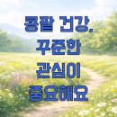 건강한 콩팥 유지하기 이미지