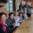 녹색농심인삼마을 이미지