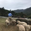 대망목장 이미지