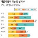 쌍둥이과일 이미지