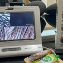 드림헤드스파