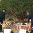 흙과소나무 이미지