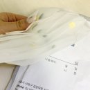 내 돈 수 백만원 쓴 [양재역 : 마음과 마음] 정신건강의학과의원 식이장애 센터 (폭식증, 거식증, 식이...