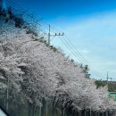 레이브짐 이미지