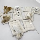 프릿토핏 이미지