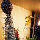 달이뜨면꽃이피고 이미지