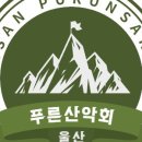 다리여행사 이미지