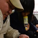 바둑이PC 이미지