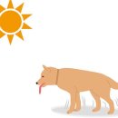 지음동물의료센터 이미지